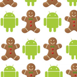 Android-Gingerbread (1)